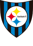 Team logo